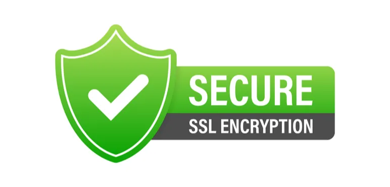 CyberPanel Türkçe Yapma ve SSL Sorunu Çözümü